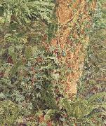 Albert Joseph Moore,ARWS Study of an Ash Trunk (mk46) oil painting on canvas
